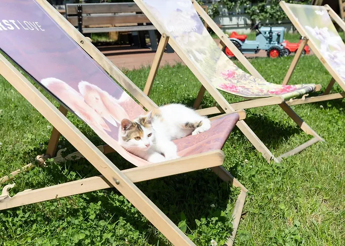 Greidlhof Alpstyle Apartment Fügen