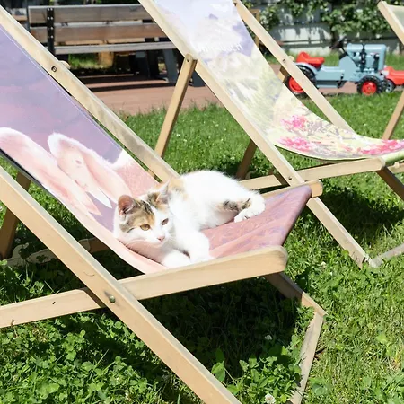 Greidlhof Alpstyle Appartamento Fügen