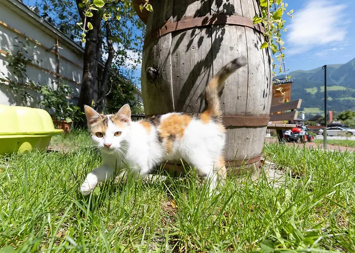 Greidlhof Alpstyle * Fuegen